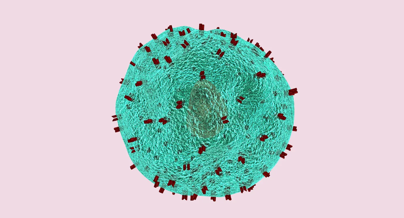 Next-Generation CAR Therapies for Solid Tumors: What Patients Should Know