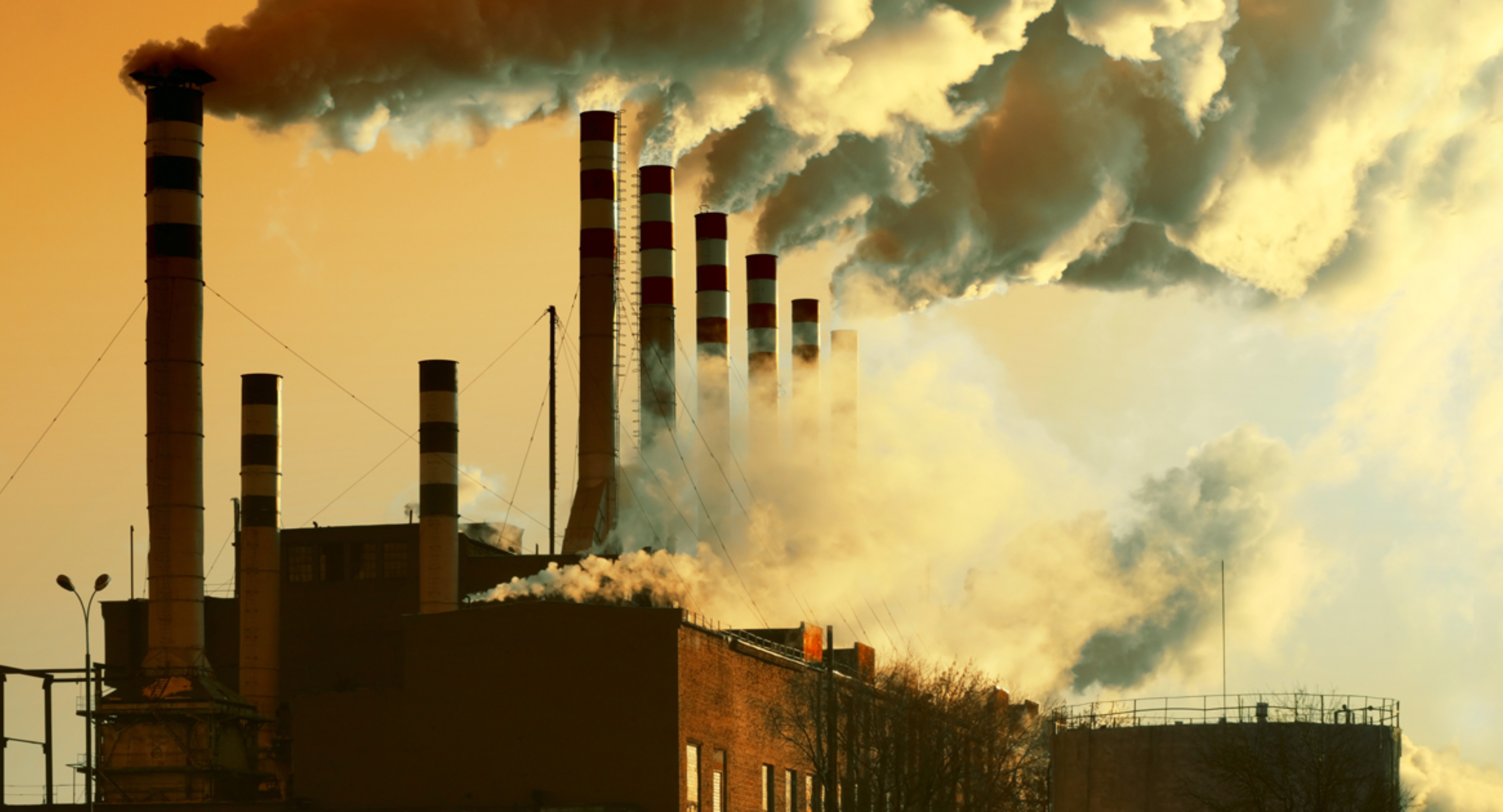 Occupational environmental cancer risks